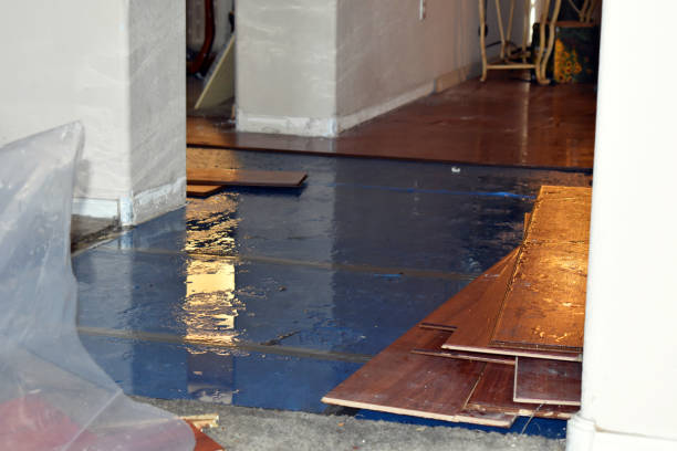 Professional Water Damage Repair technician working in Keasbey, NJ